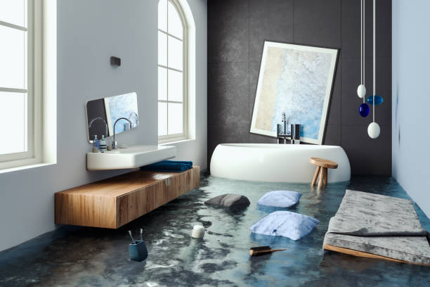 Best Professional water damage repair  in Manchester, MI