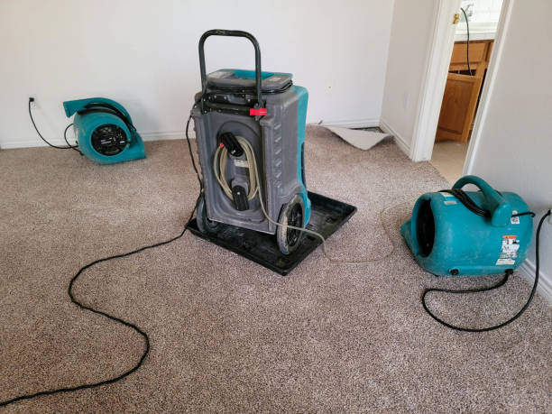 Best Water damage restoration near me  in Manchester, MI