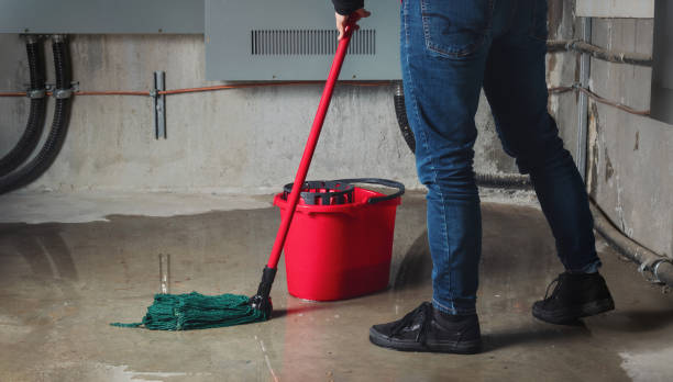 Water damage restoration insurance claims in Manchester, MI