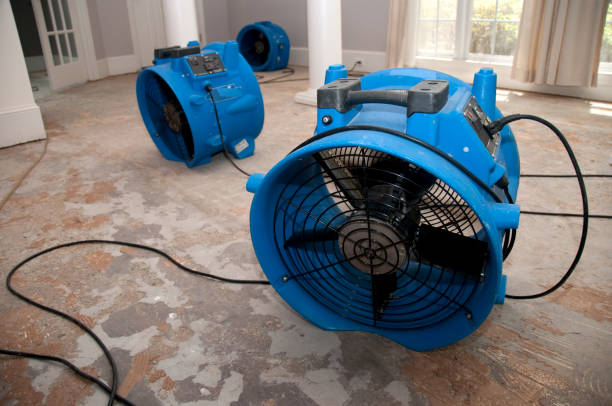 Best Flooded house restoration  in Manchester, MI