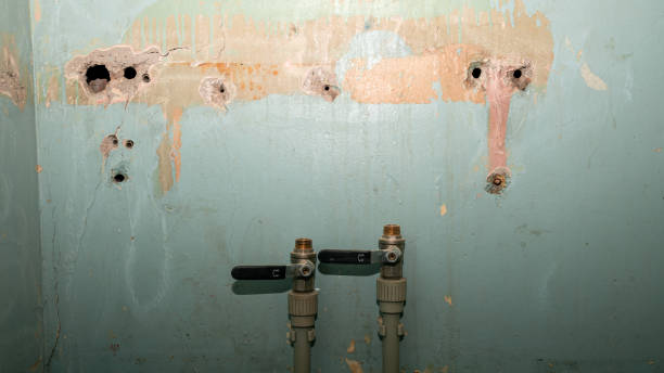 Best Water damage restoration services  in Manchester, MI