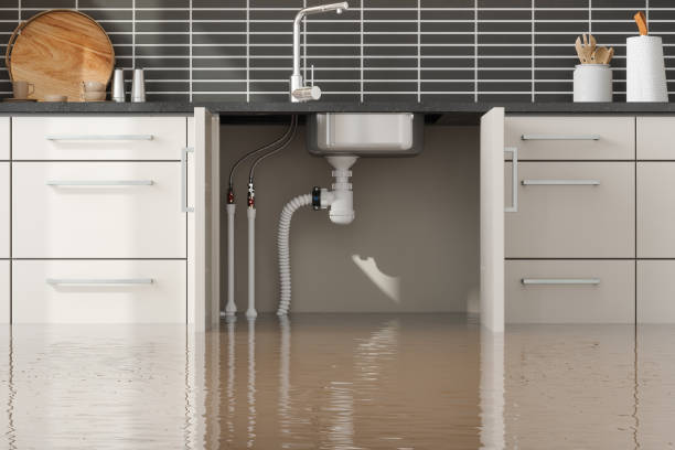 Best Flood restoration services  in Manchester, MI