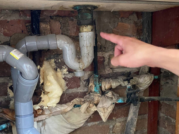 Best Emergency water damage restoration  in Manchester, MI