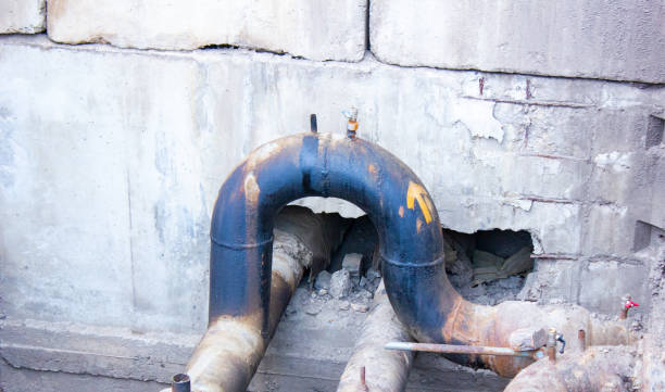 Best Water damage cleanup near me  in Manchester, MI
