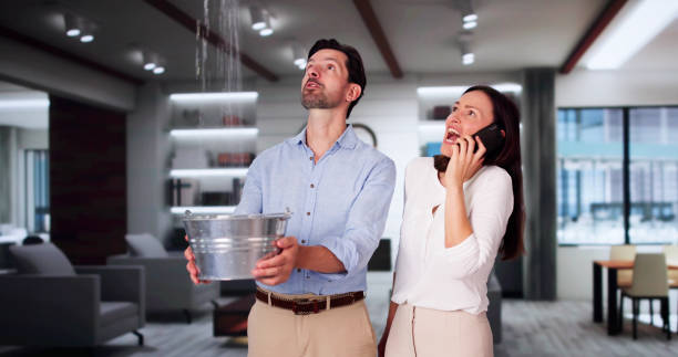 Best Water damage contractors near me  in Manchester, MI